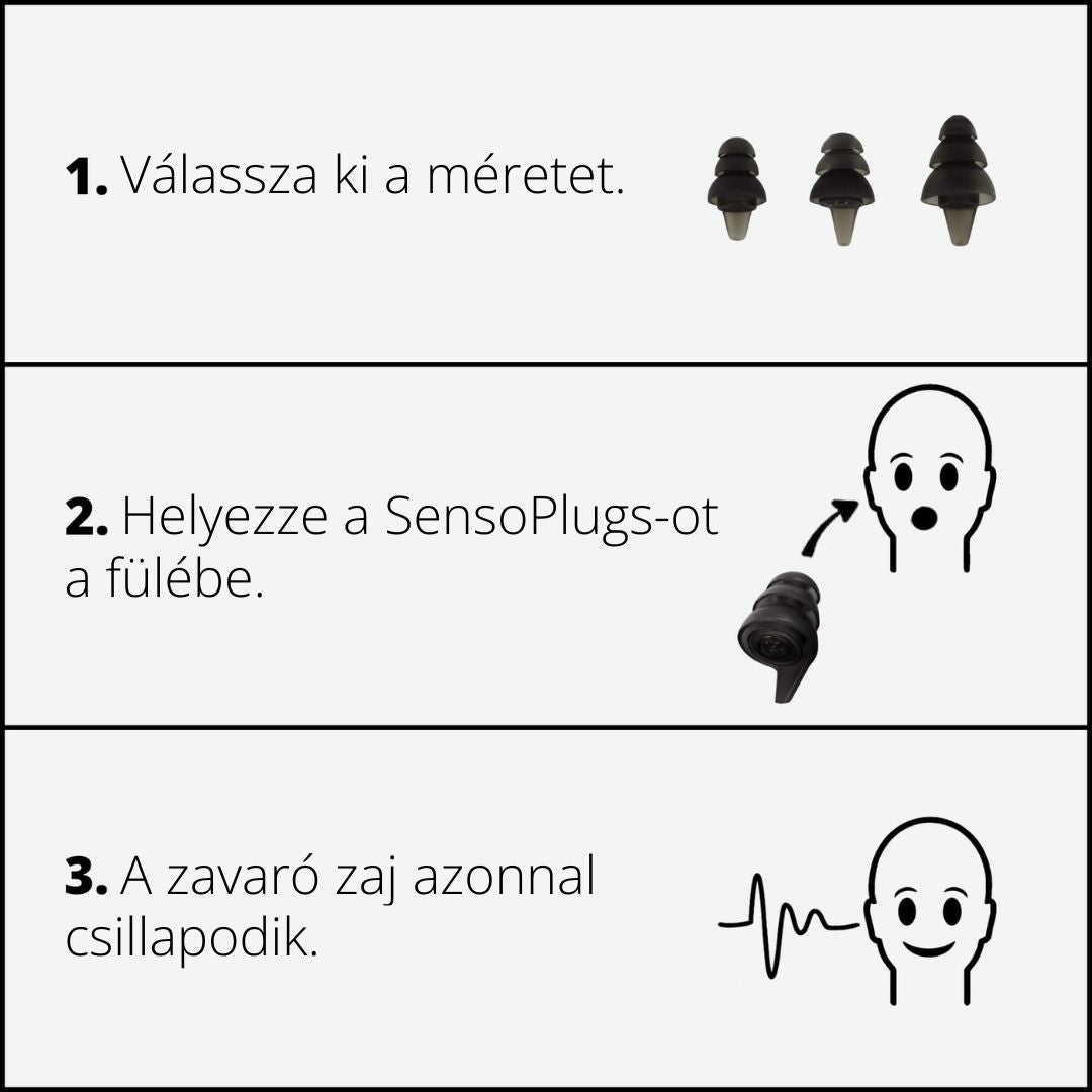 SensoPlugs 2.0 - Hungary